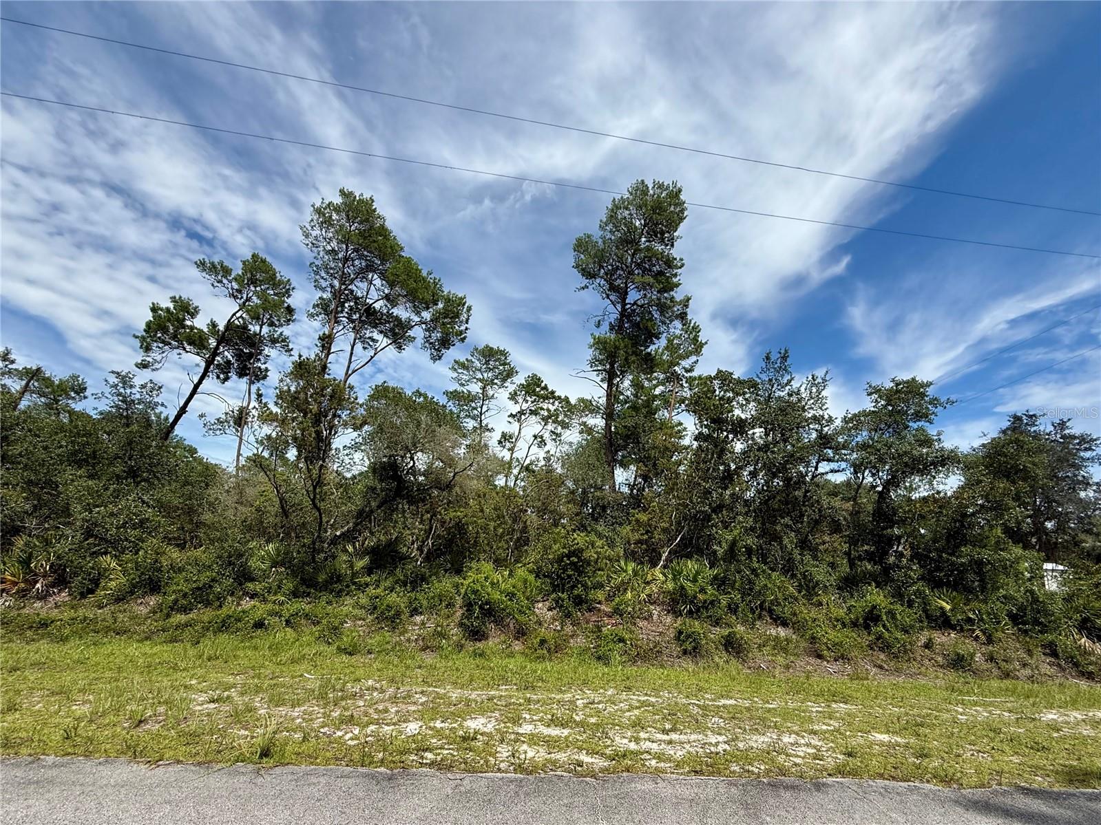 Details for Lot 1 Dahlia Street, EUSTIS, FL 32736