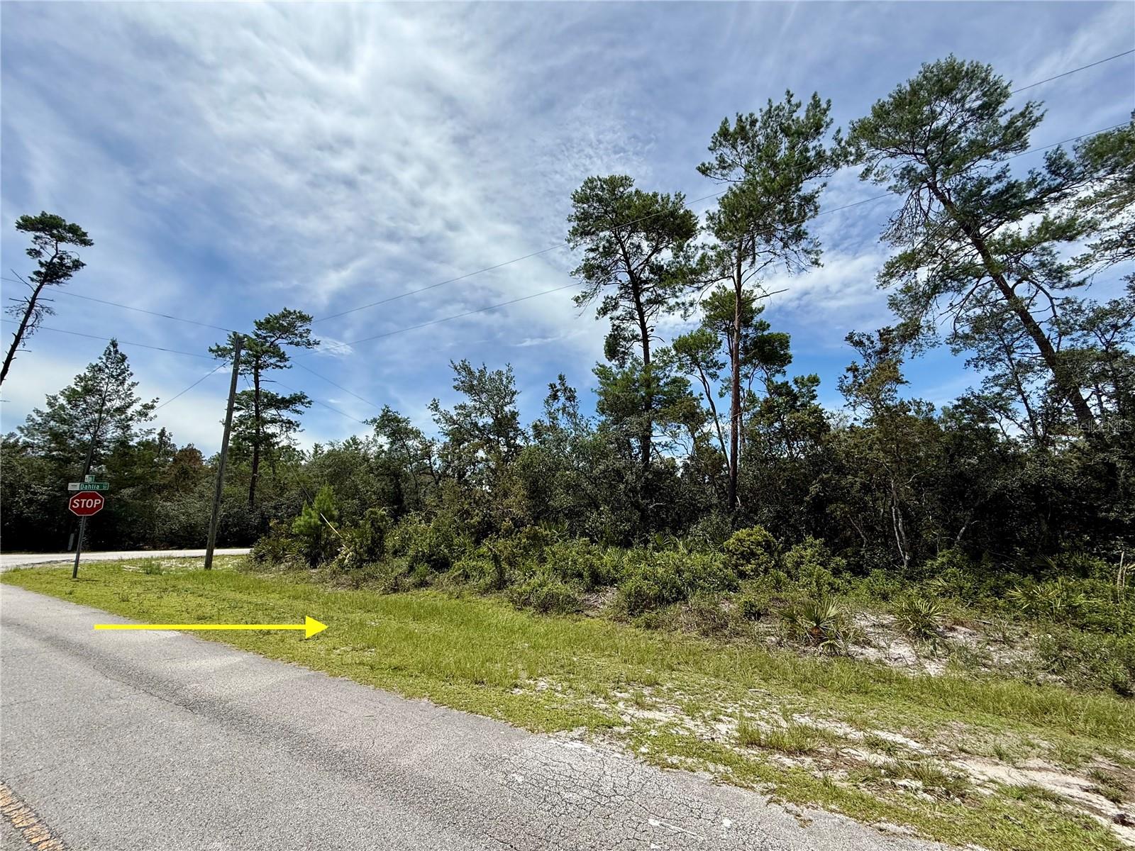 Image 11 of 32 For Lot 1 Dahlia Street