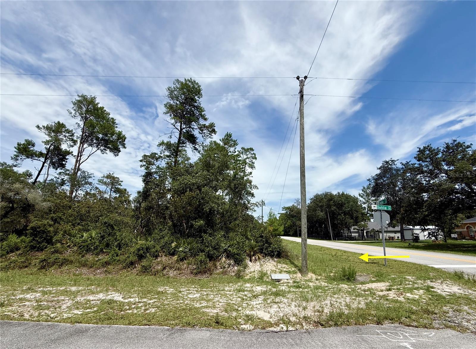 Image 13 of 32 For Lot 1 Dahlia Street