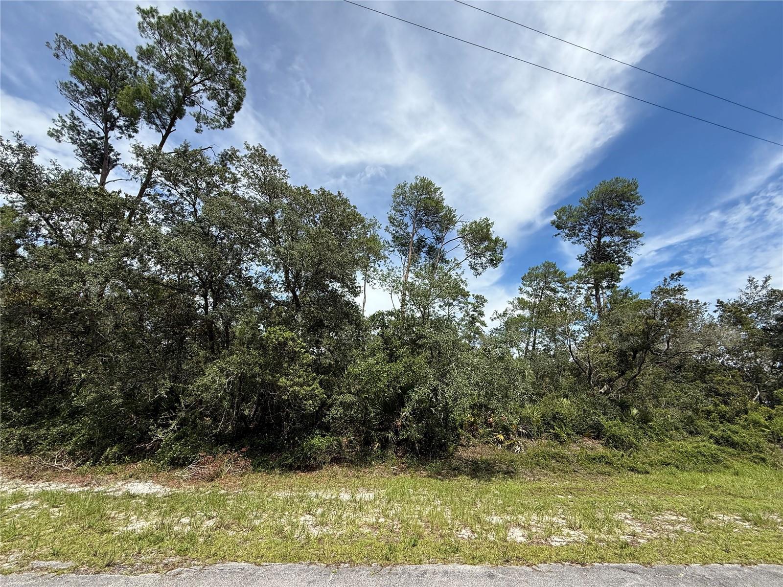 Image 19 of 32 For Lot 1 Dahlia Street