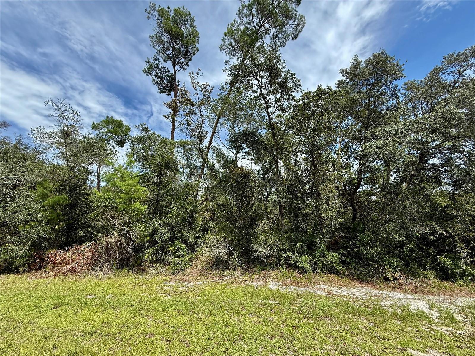Image 2 of 32 For Lot 1 Dahlia Street