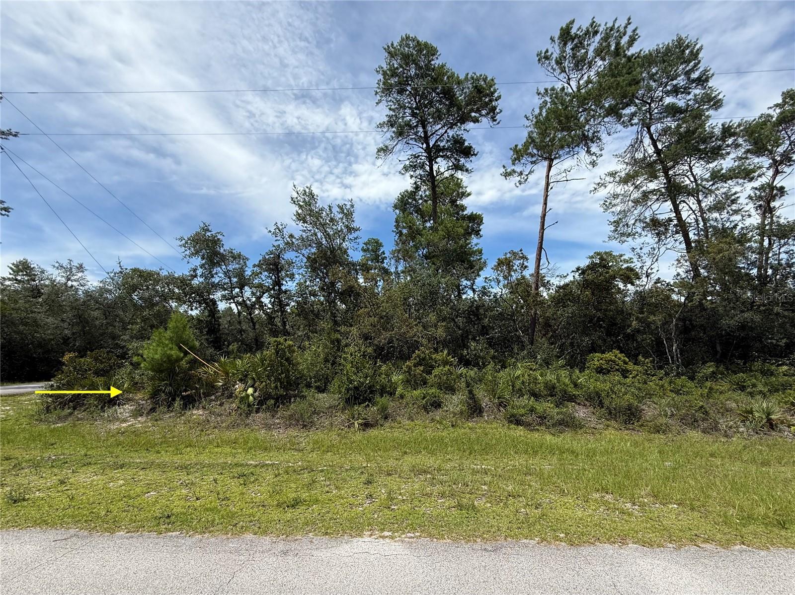 Image 9 of 32 For Lot 1 Dahlia Street