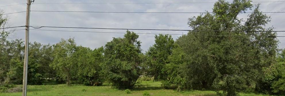 Details for Tom Chapman Road, GROVELAND, FL 34736