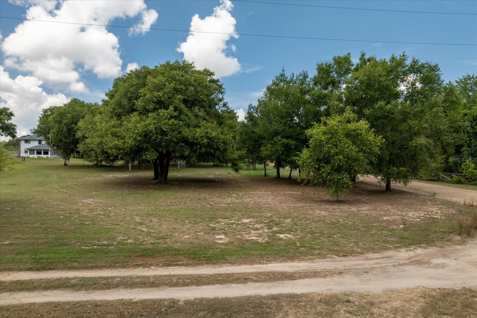 Image 8 of 11 For Tom Chapman Road