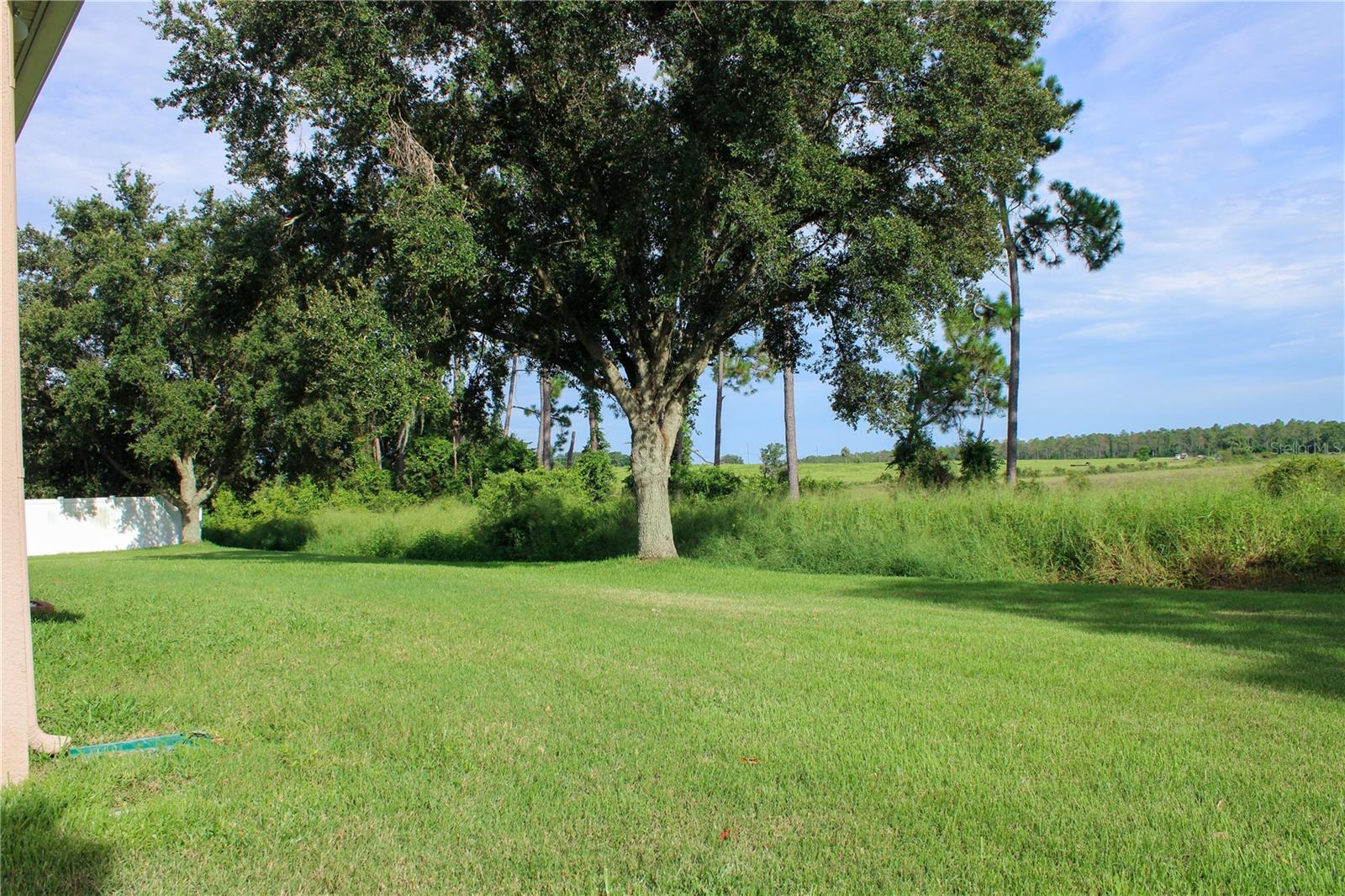 Image 36 of 40 For 23900 Narrowleaf Court