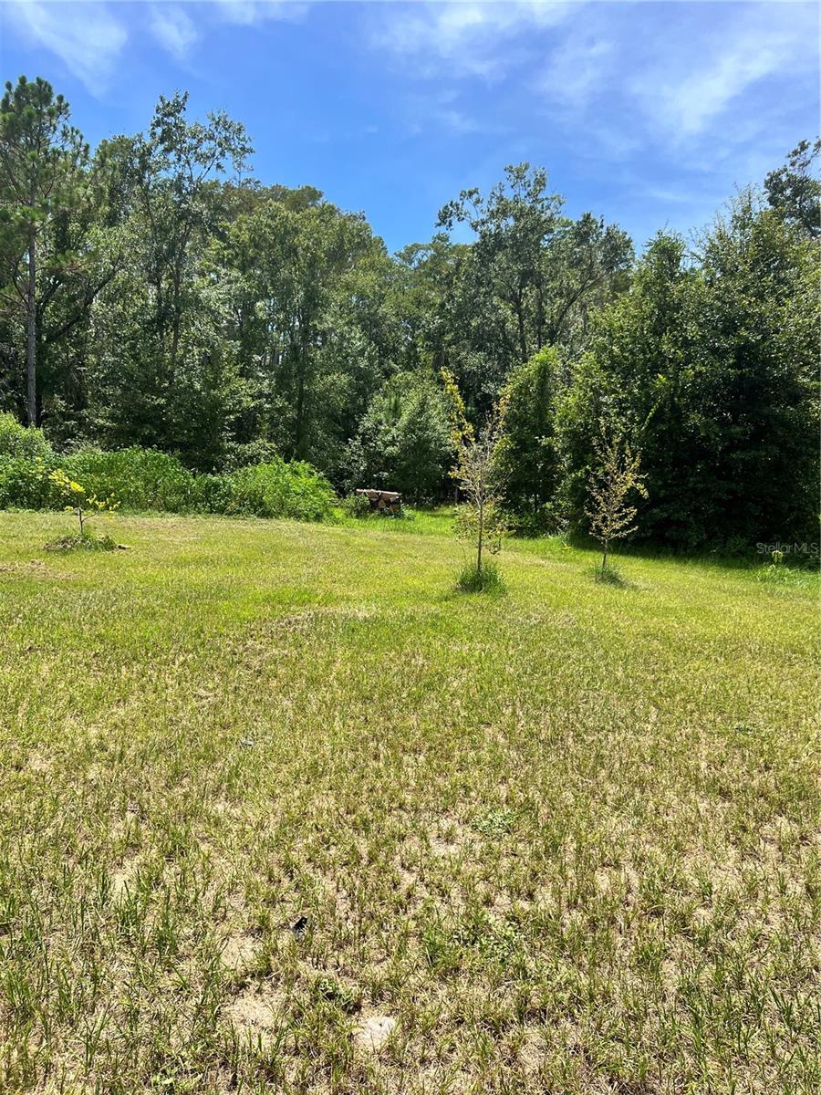 Image 12 of 29 For 7833 Bay Lake Road