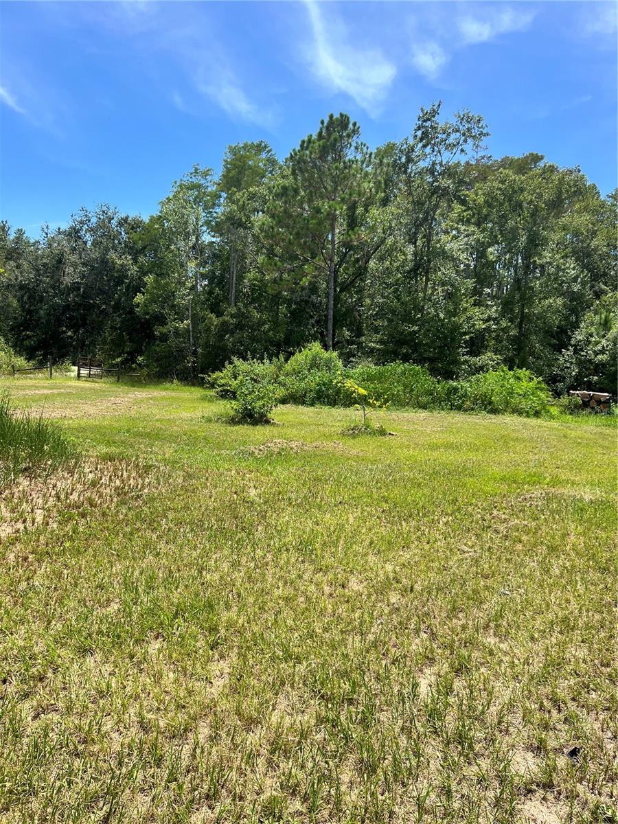 Image 13 of 29 For 7833 Bay Lake Road