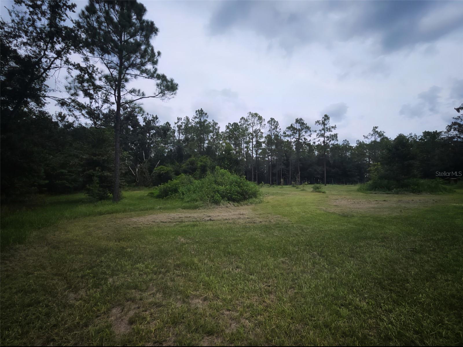 Image 35 of 45 For 7833 Bay Lake Road
