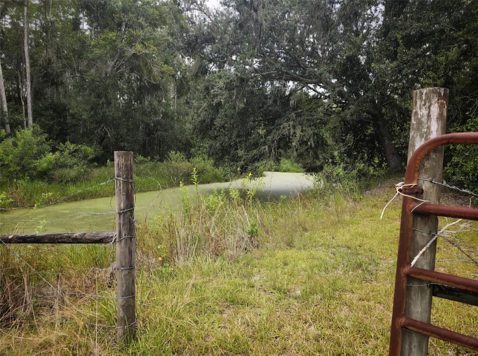 Image 36 of 45 For 7833 Bay Lake Road