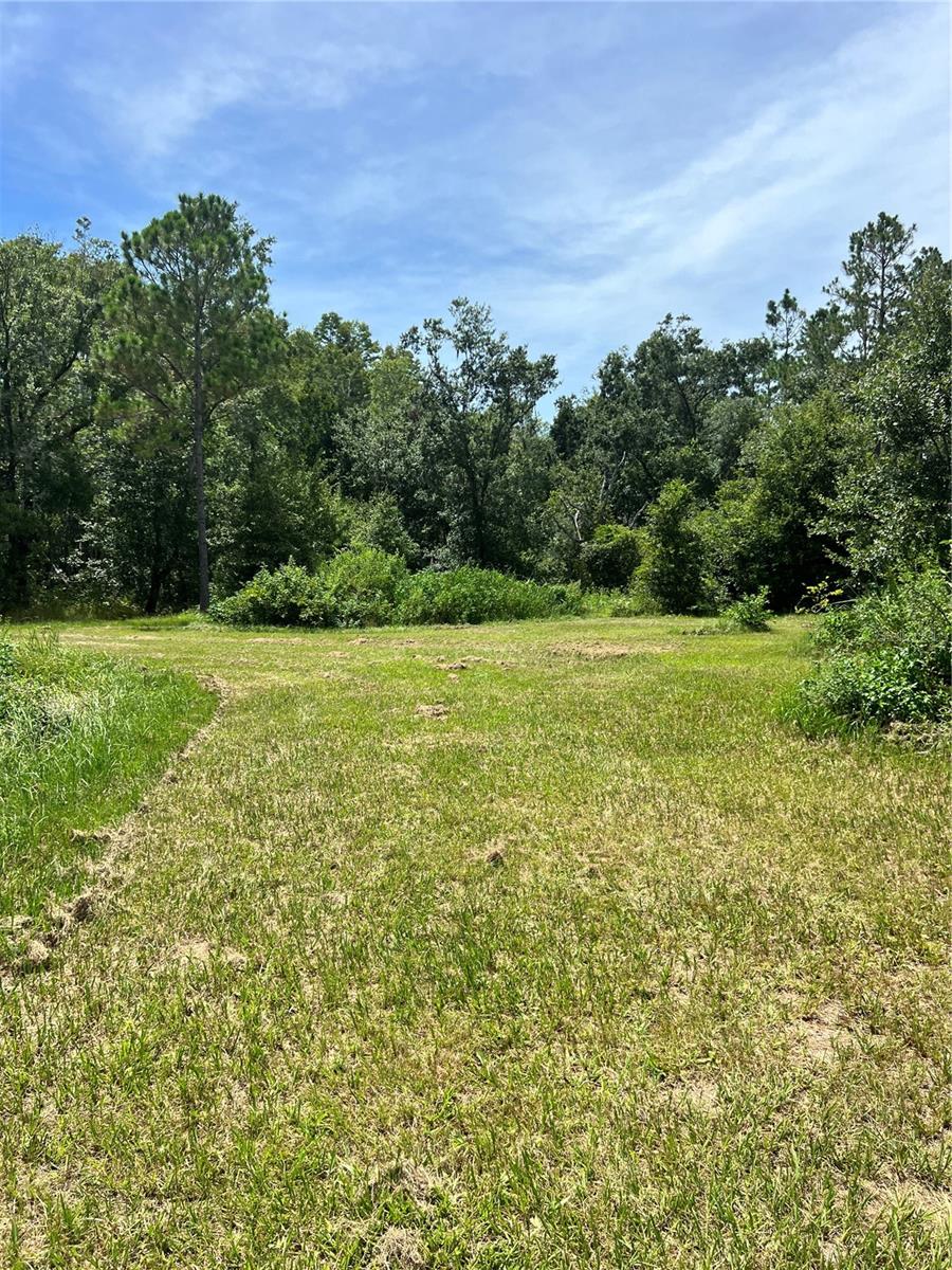 Image 9 of 29 For 7833 Bay Lake Road