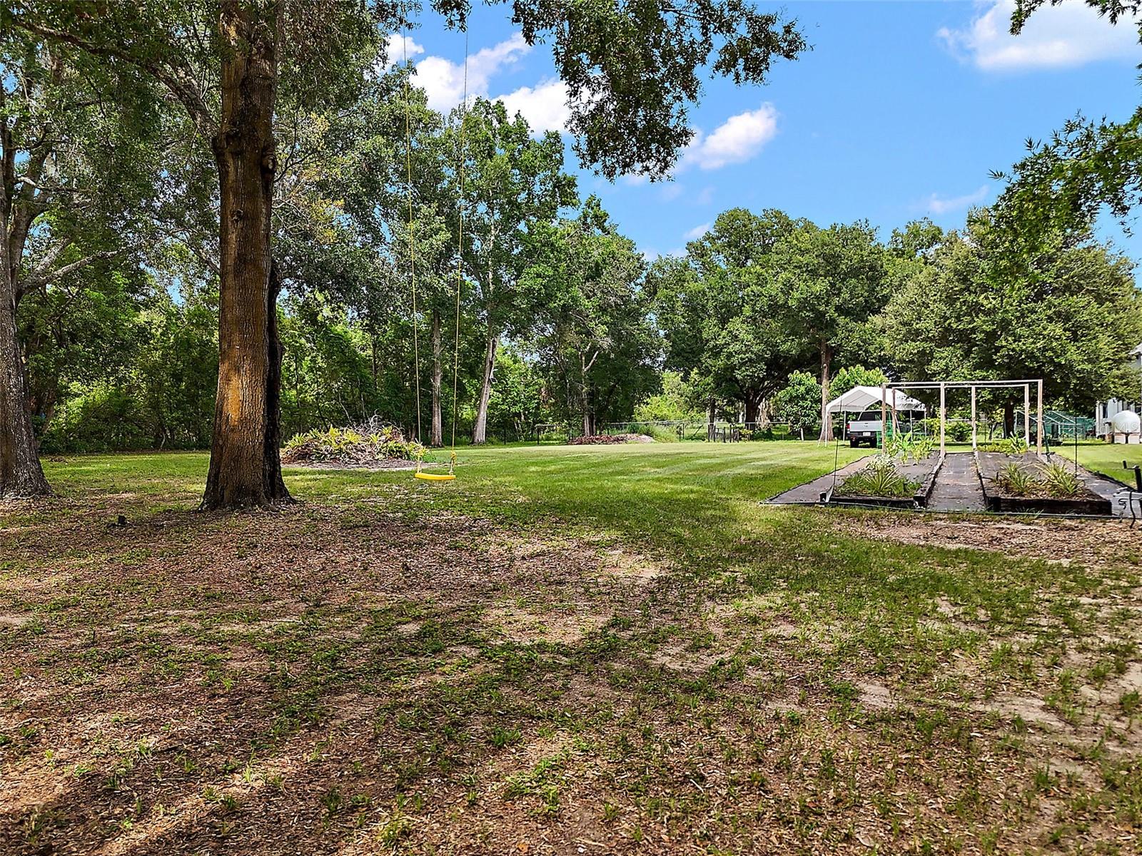 Details for Allen Street, MOUNT DORA, FL 32757