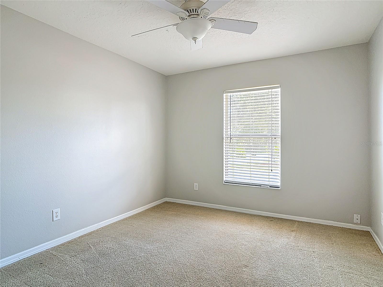 Image 36 of 61 For 36839 Wolf Court