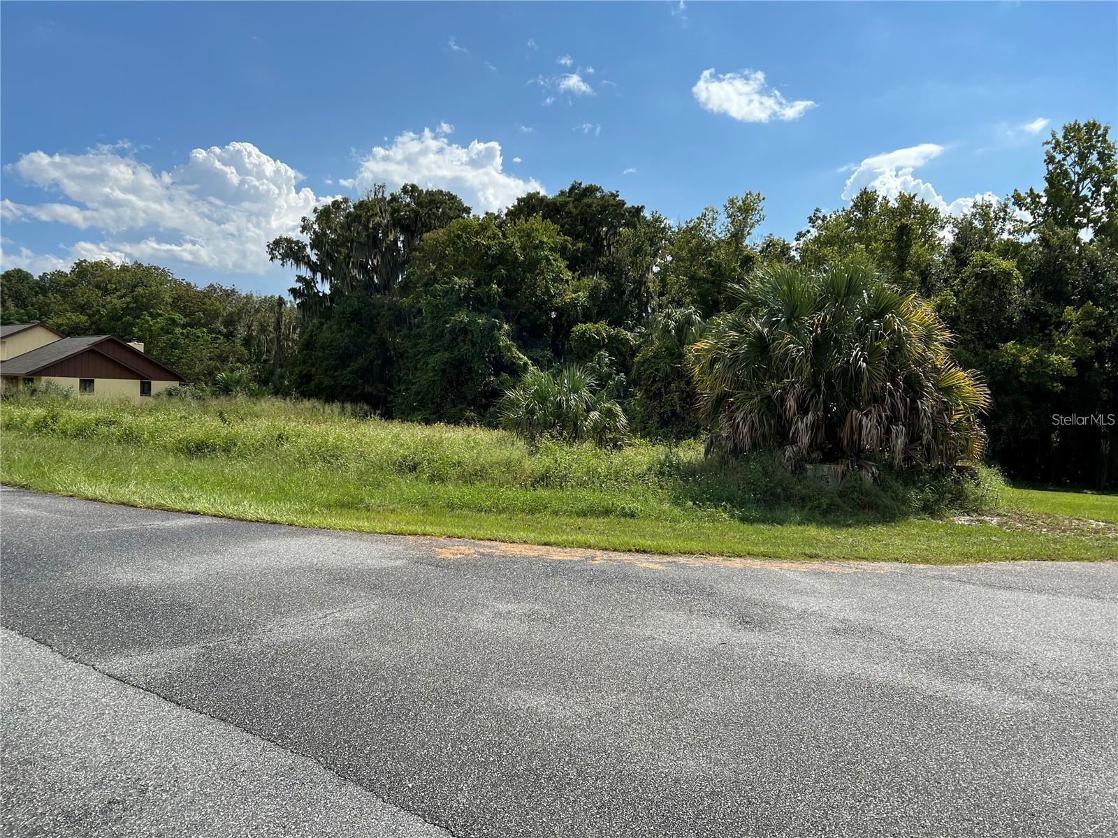 Details for Redtree Drive, LEESBURG, FL 34748