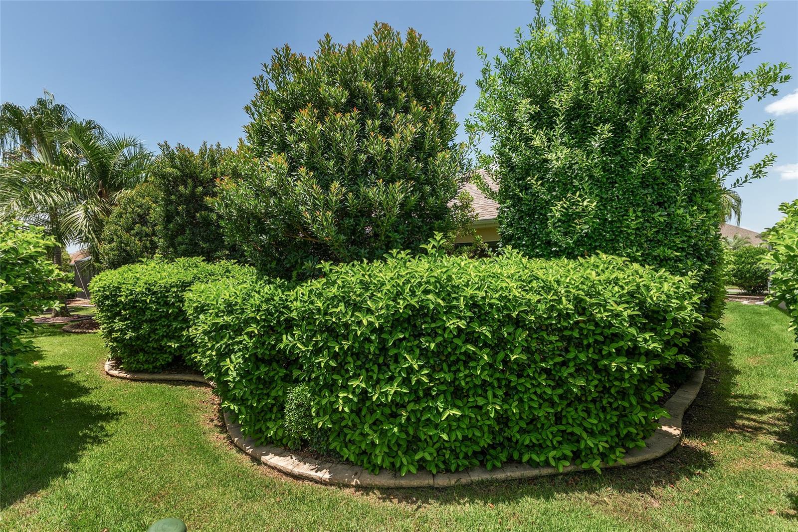Listing photo id 51 for 3348 Queensway Terrace