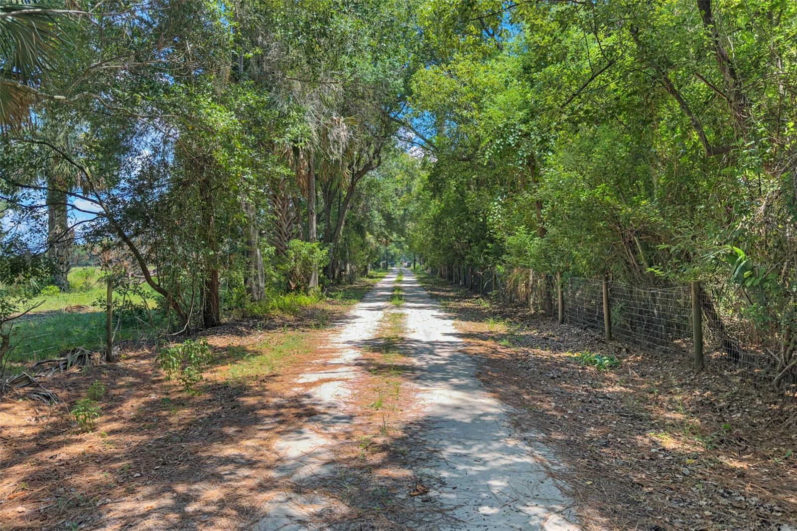 Image 17 of 39 For 15816 Mullins Boulevard