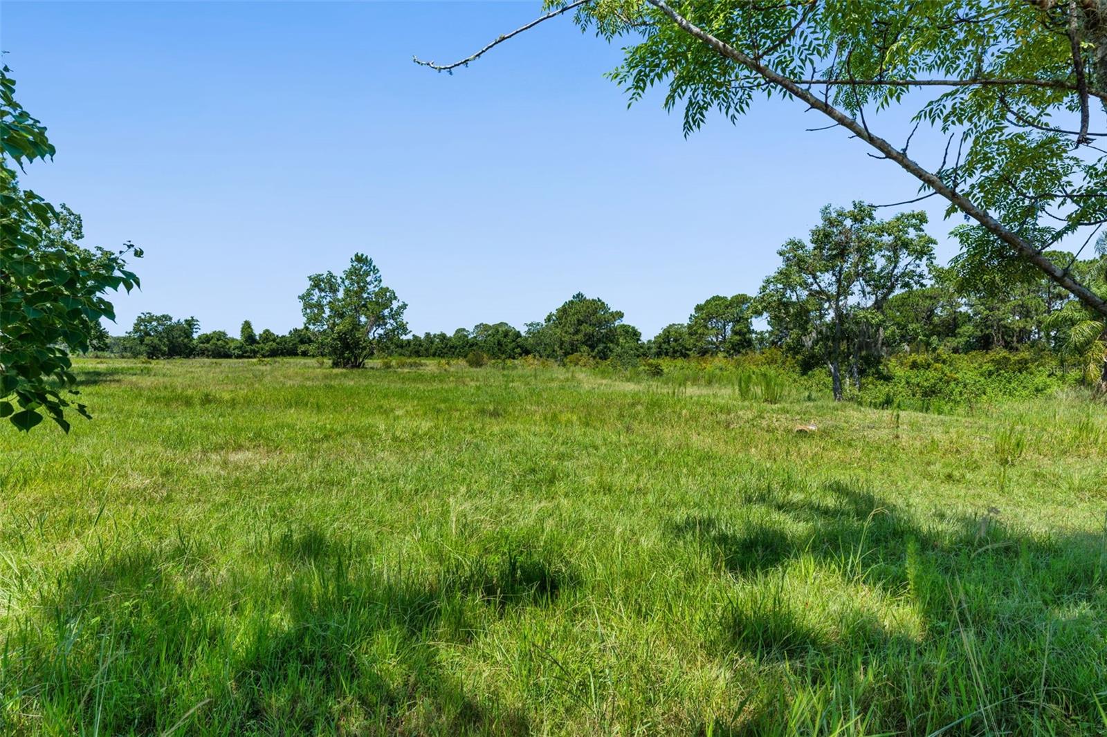 Image 22 of 39 For 15816 Mullins Boulevard