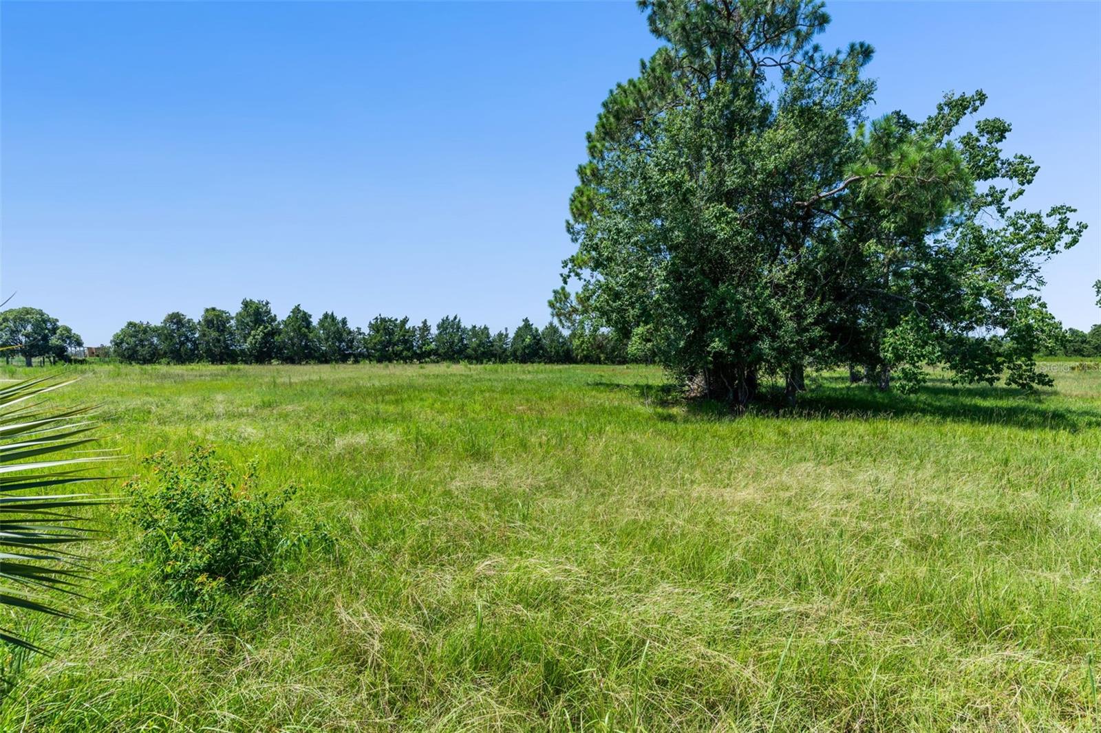 Image 23 of 39 For 15816 Mullins Boulevard