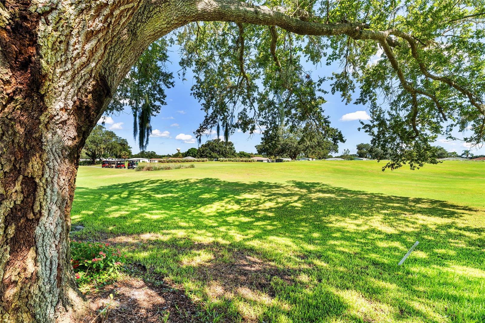 Image 4 of 42 For 667 Rainbow Boulevard