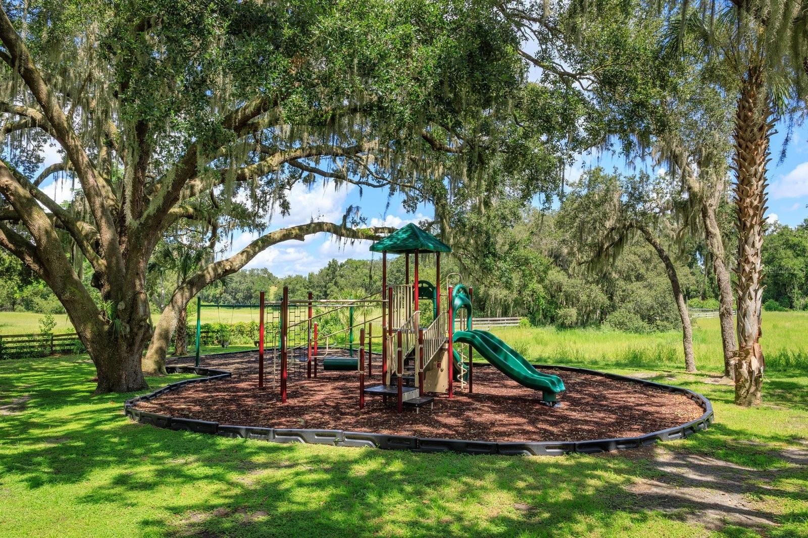 Image 28 of 30 For 24353 Calusa Boulevard