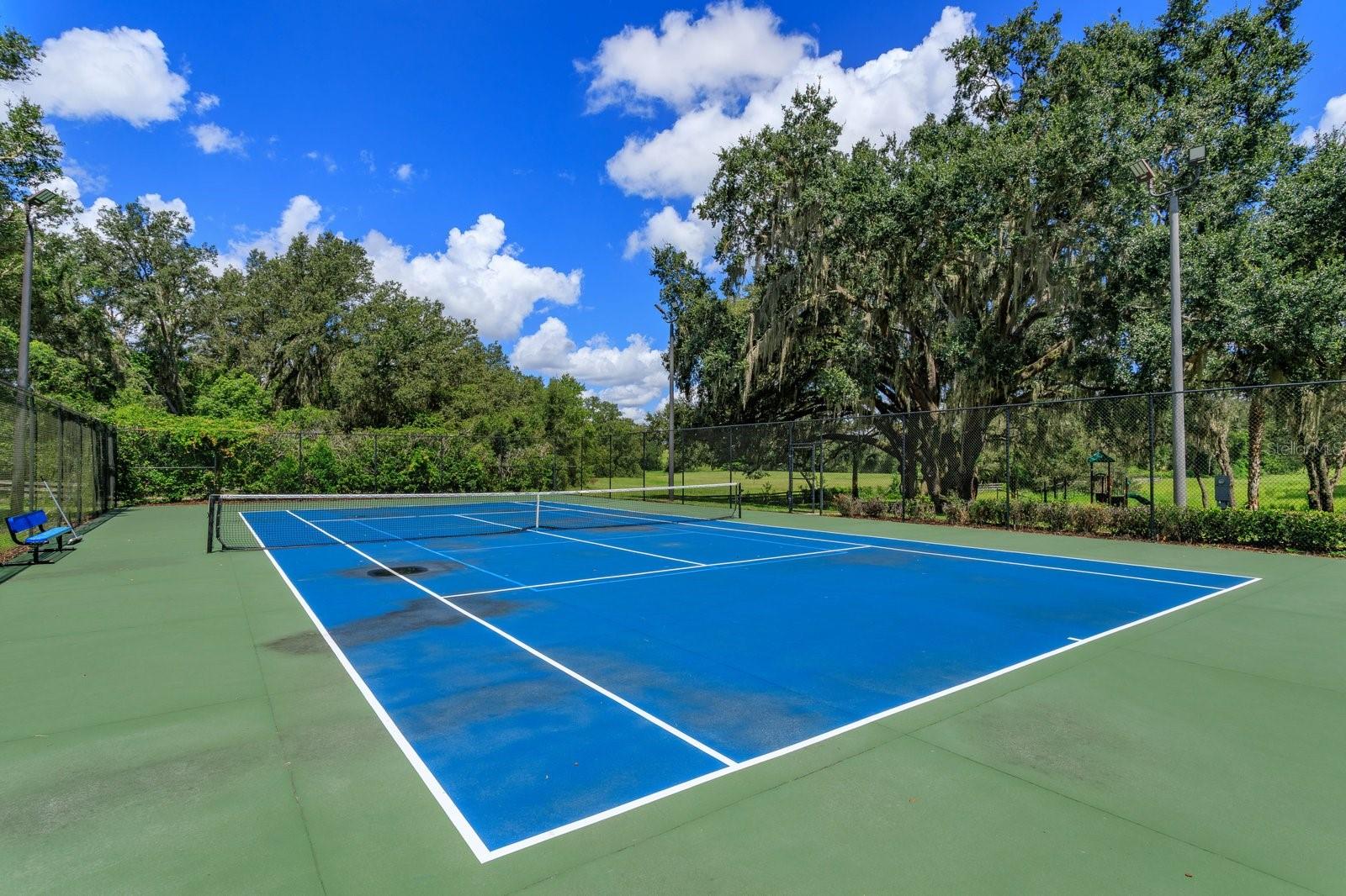 Image 29 of 30 For 24353 Calusa Boulevard