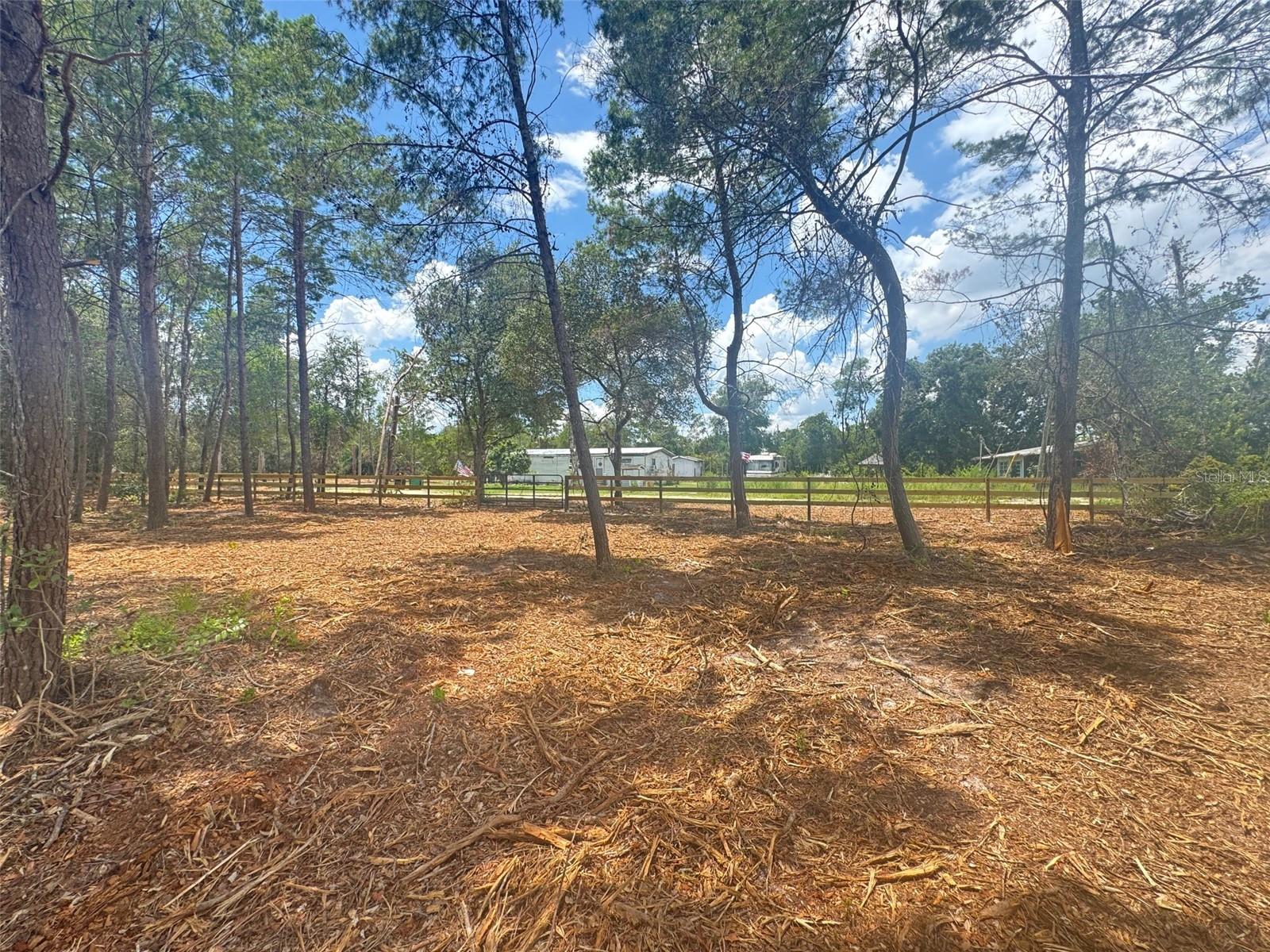 Details for E Pine Street, PAISLEY, FL 32767