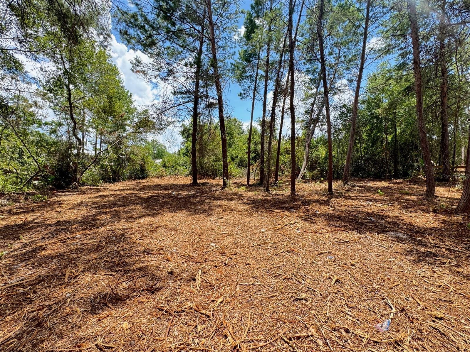Image 11 of 13 For E Pine Street