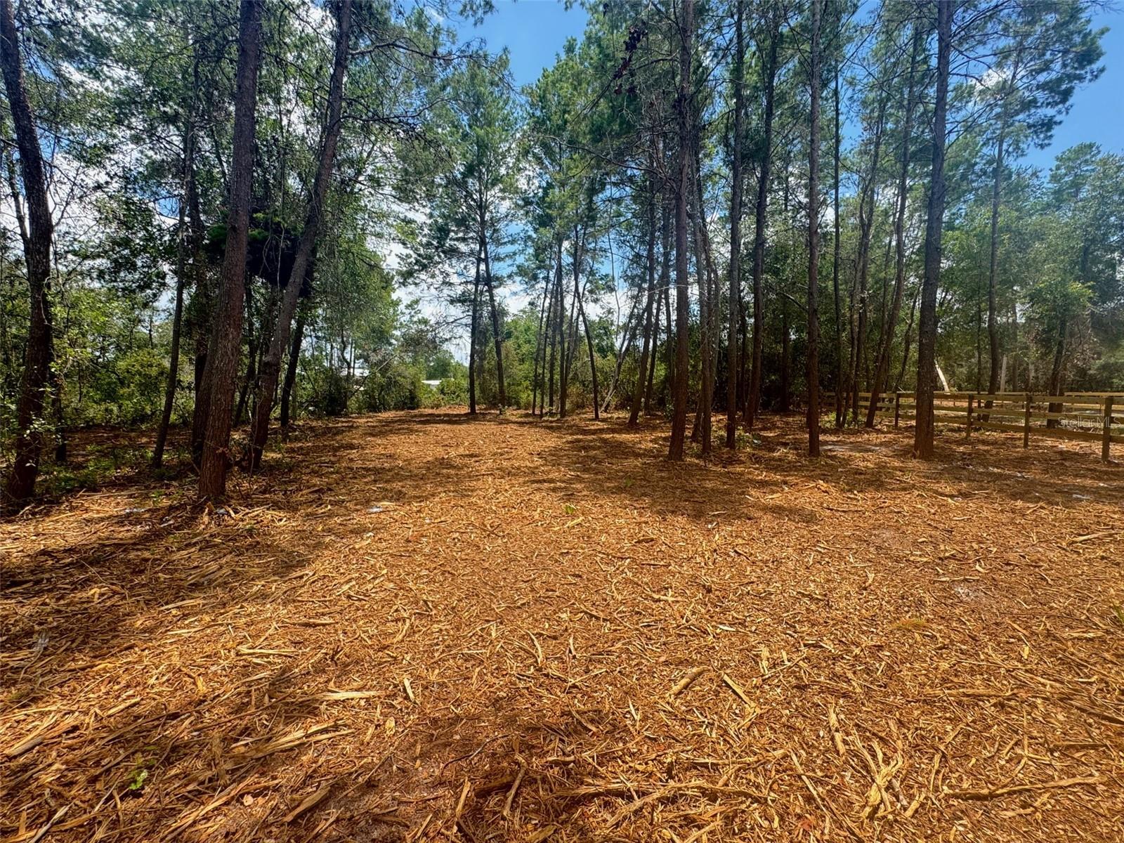 Image 12 of 13 For E Pine Street