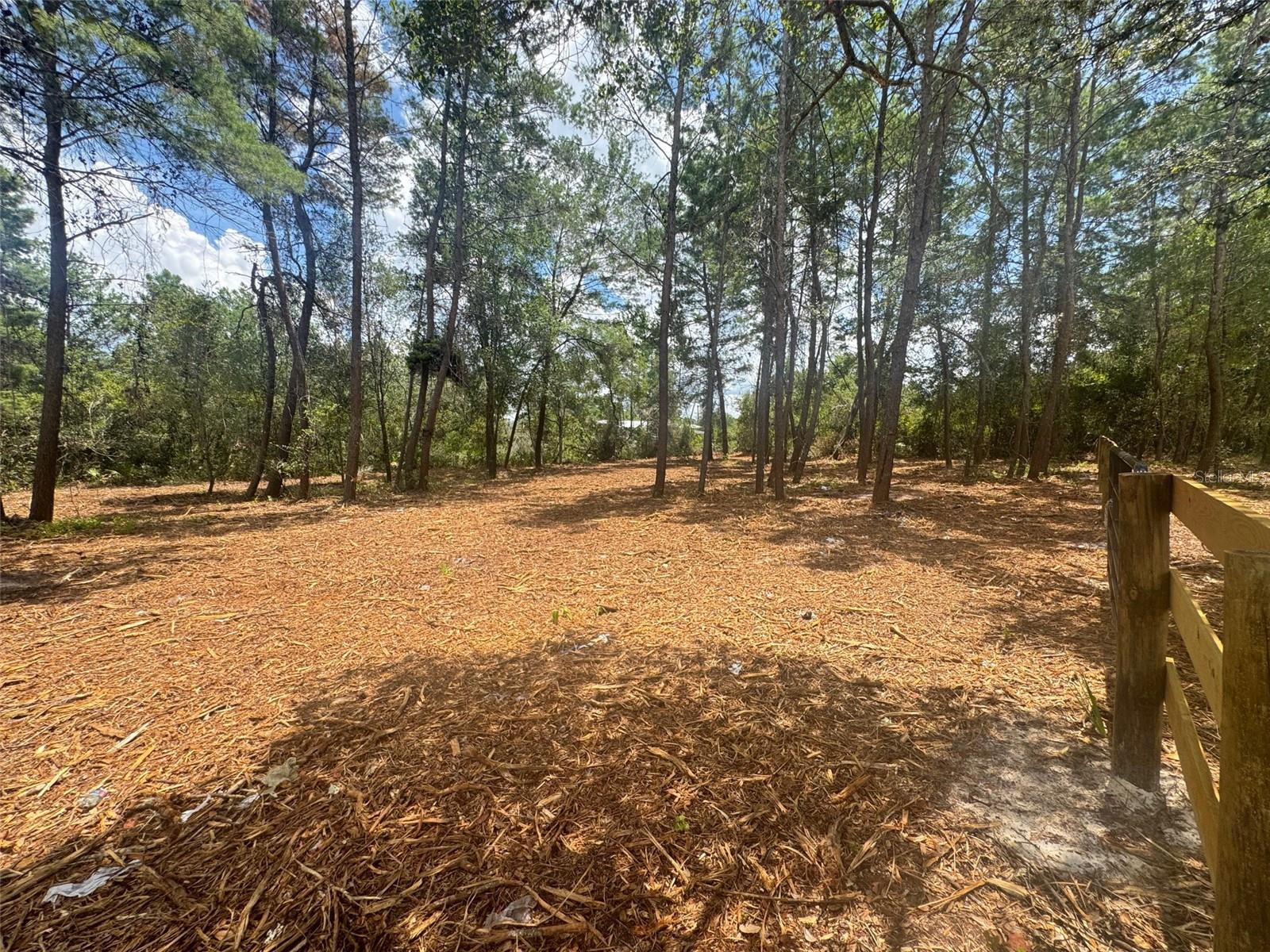 Image 6 of 13 For E Pine Street