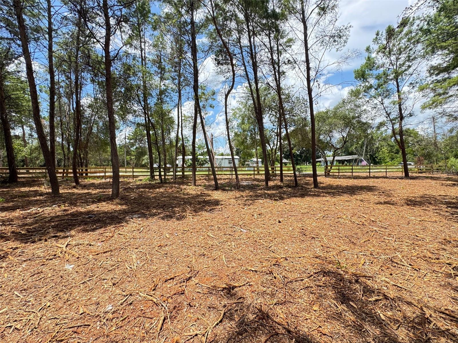 Image 9 of 13 For E Pine Street
