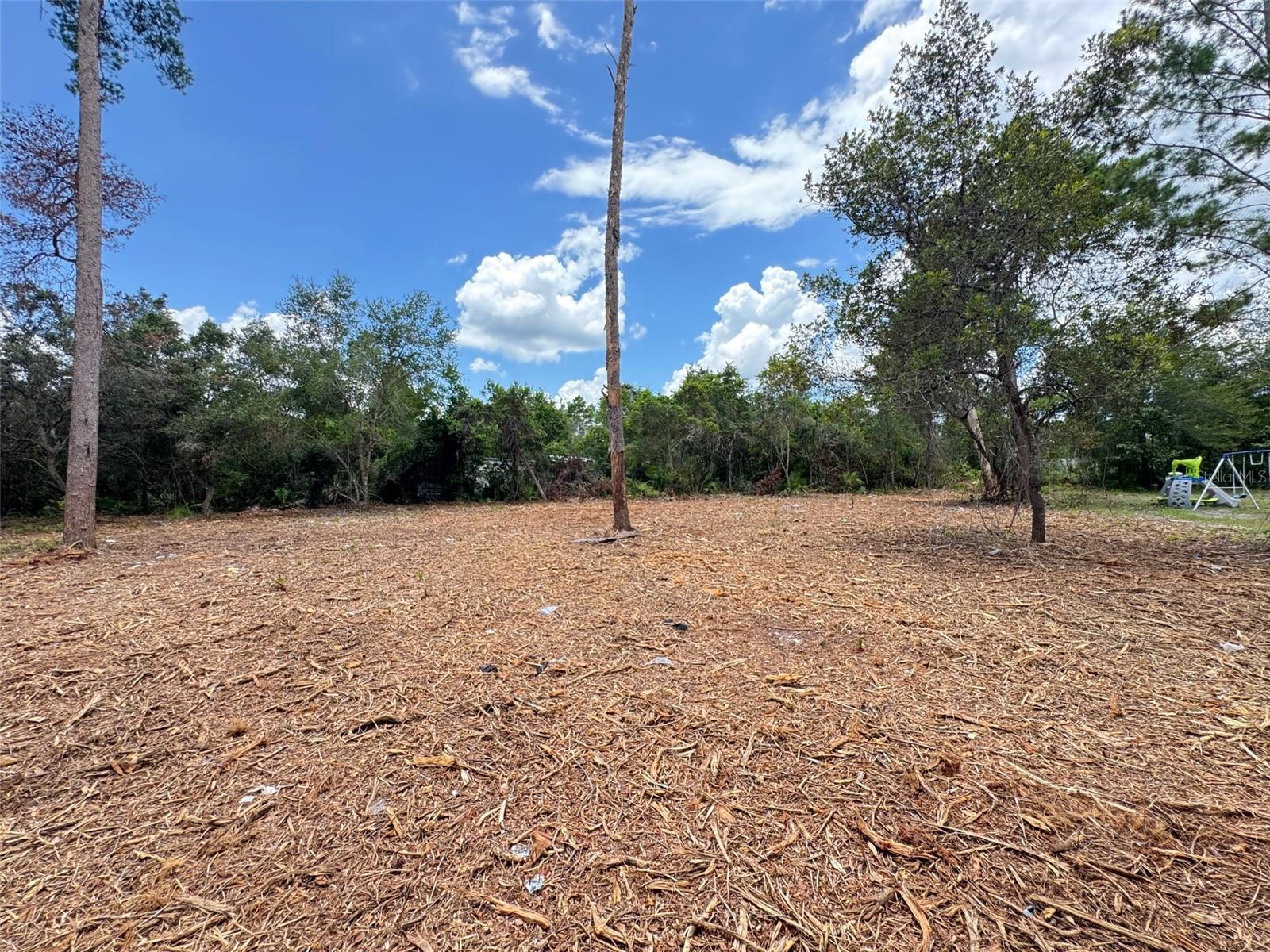 Image 6 of 8 For W Pine Street