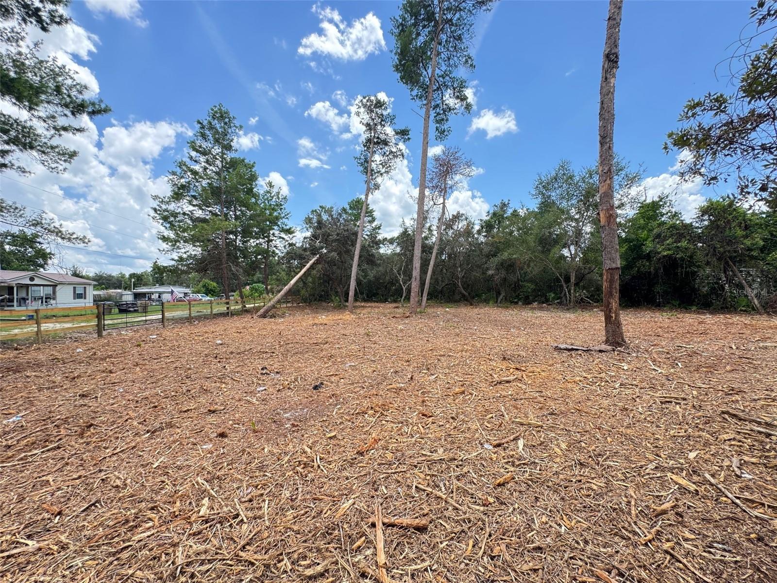 Image 7 of 8 For W Pine Street