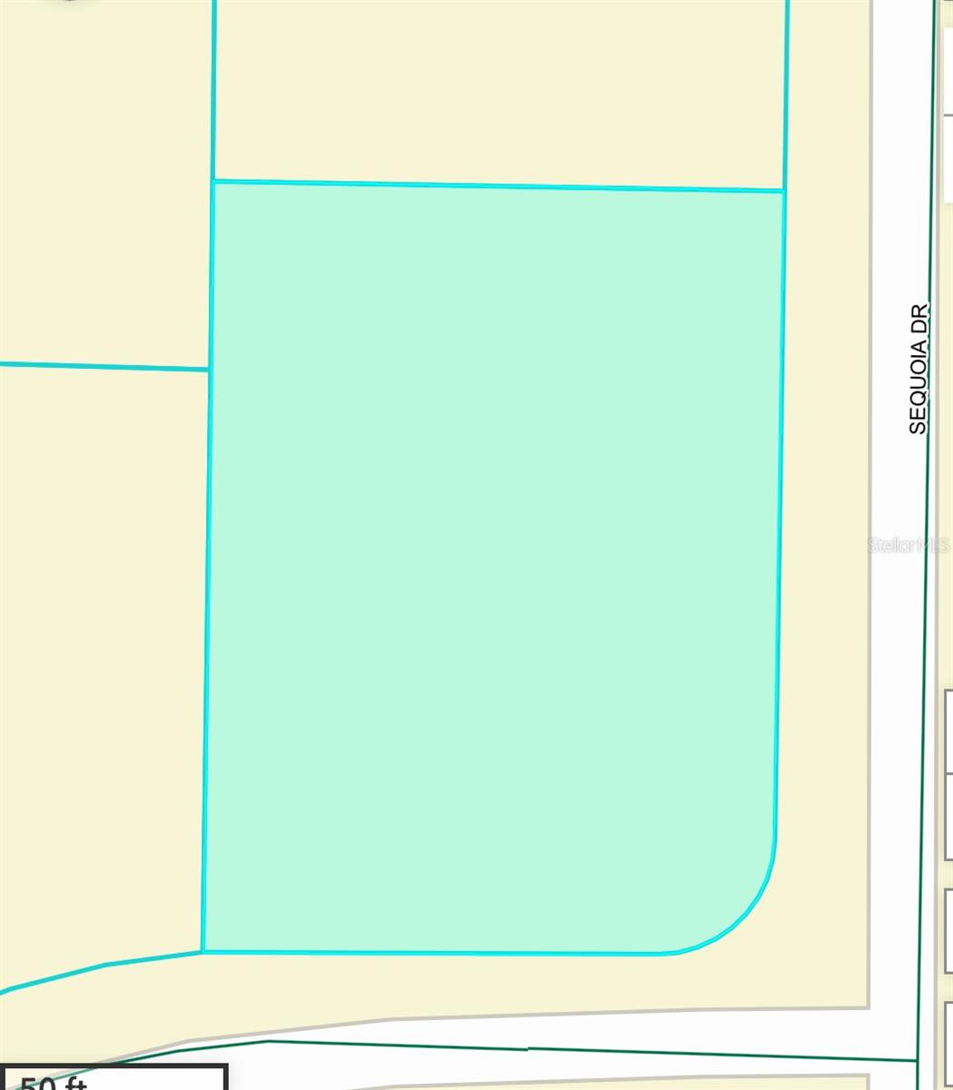 Details for Sequoia Dr. Trail, OCKLAWAHA, FL 32179