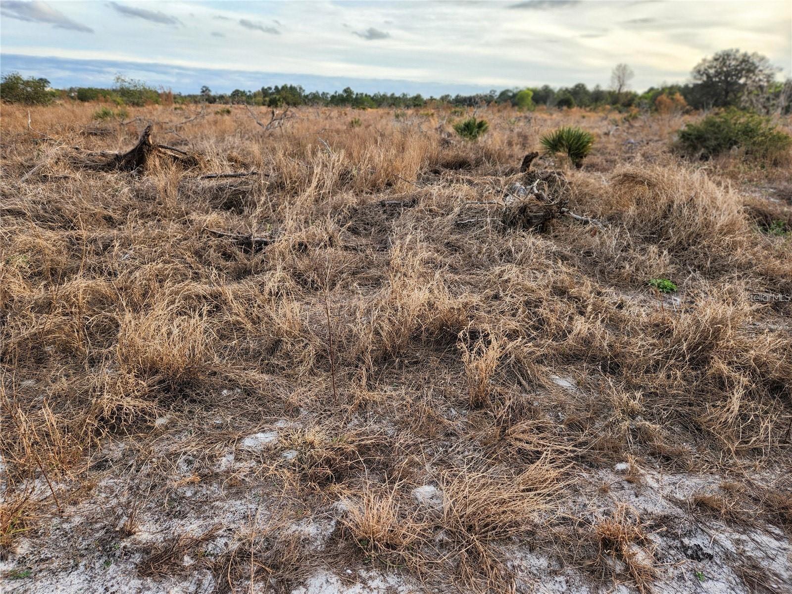 Image 6 of 14 For Frostproof Road