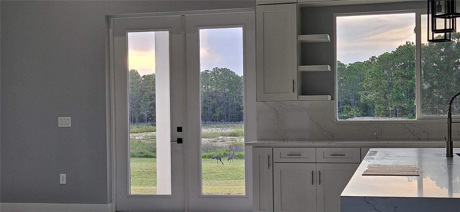 Image 16 of 46 For 39817 Forest Drive