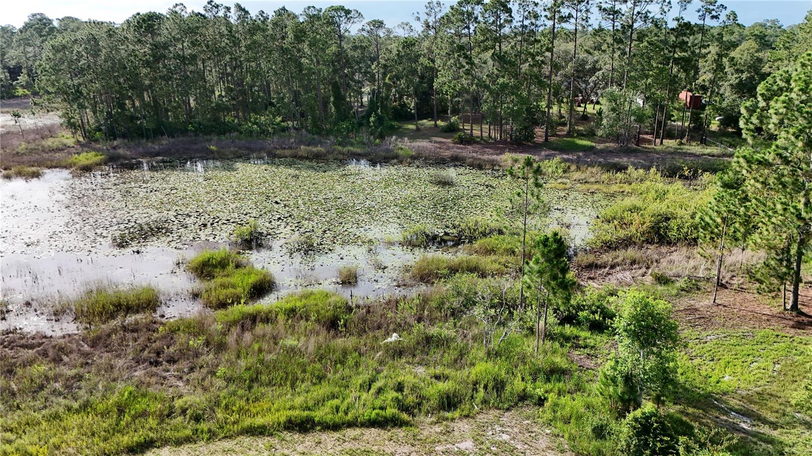 Image 43 of 46 For 39817 Forest Drive
