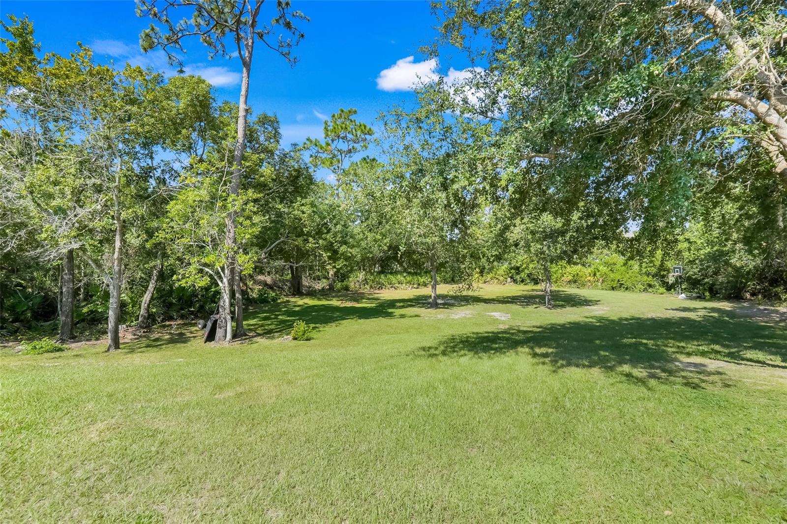 Image 40 of 43 For 3008 Fabus Court