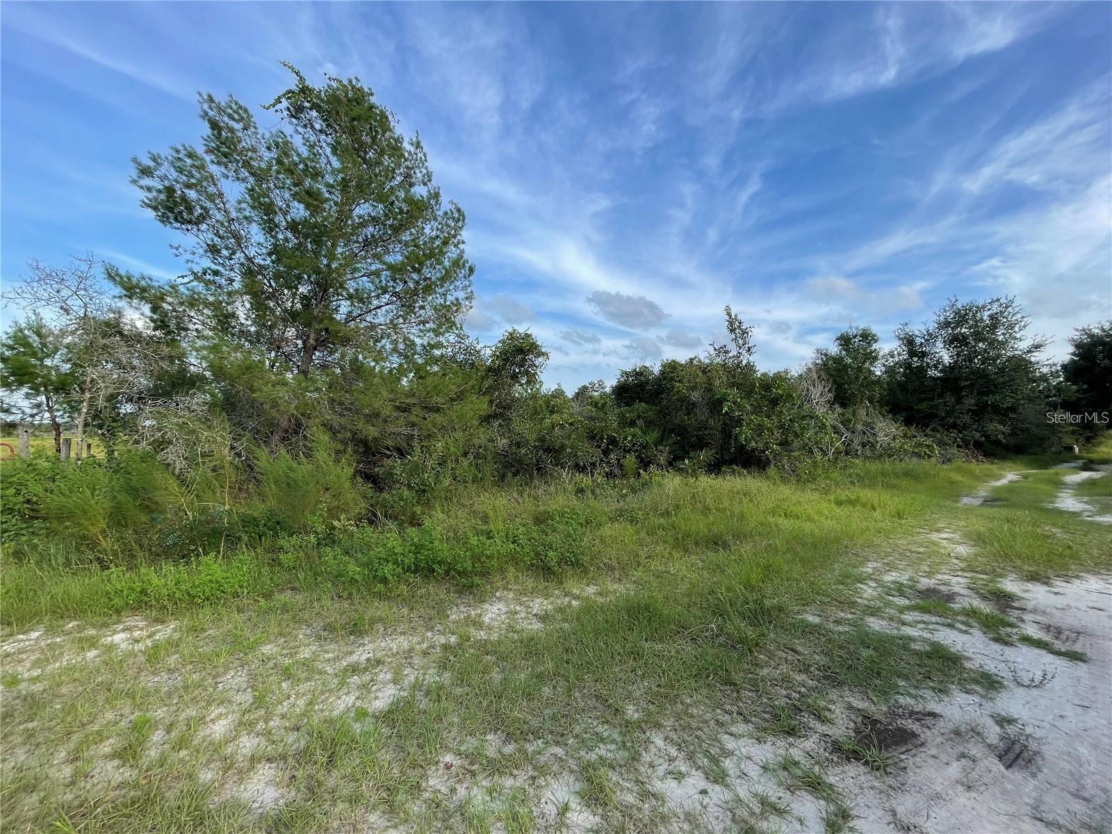 Details for Frostproof Road Lot 11, FROSTPROOF, FL 33843