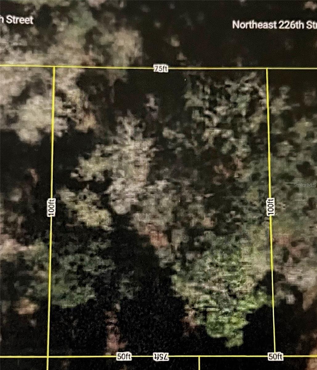 Listing Details for 00 226th Street, ORANGE SPRINGS, FL 32182