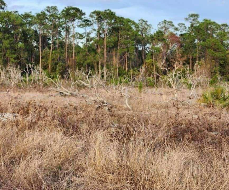 Image 2 of 9 For Frostproof Road Lot 13