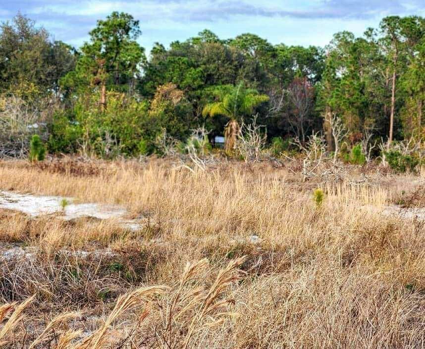 Image 3 of 9 For Frostproof Road Lot 13