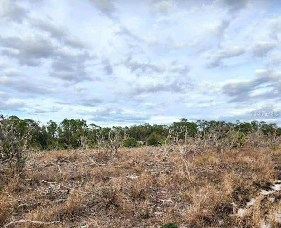 Image 5 of 9 For Frostproof Road Lot 13