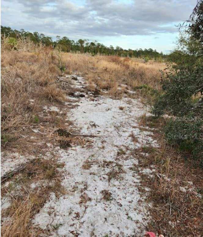 Image 8 of 9 For Frostproof Road Lot 13