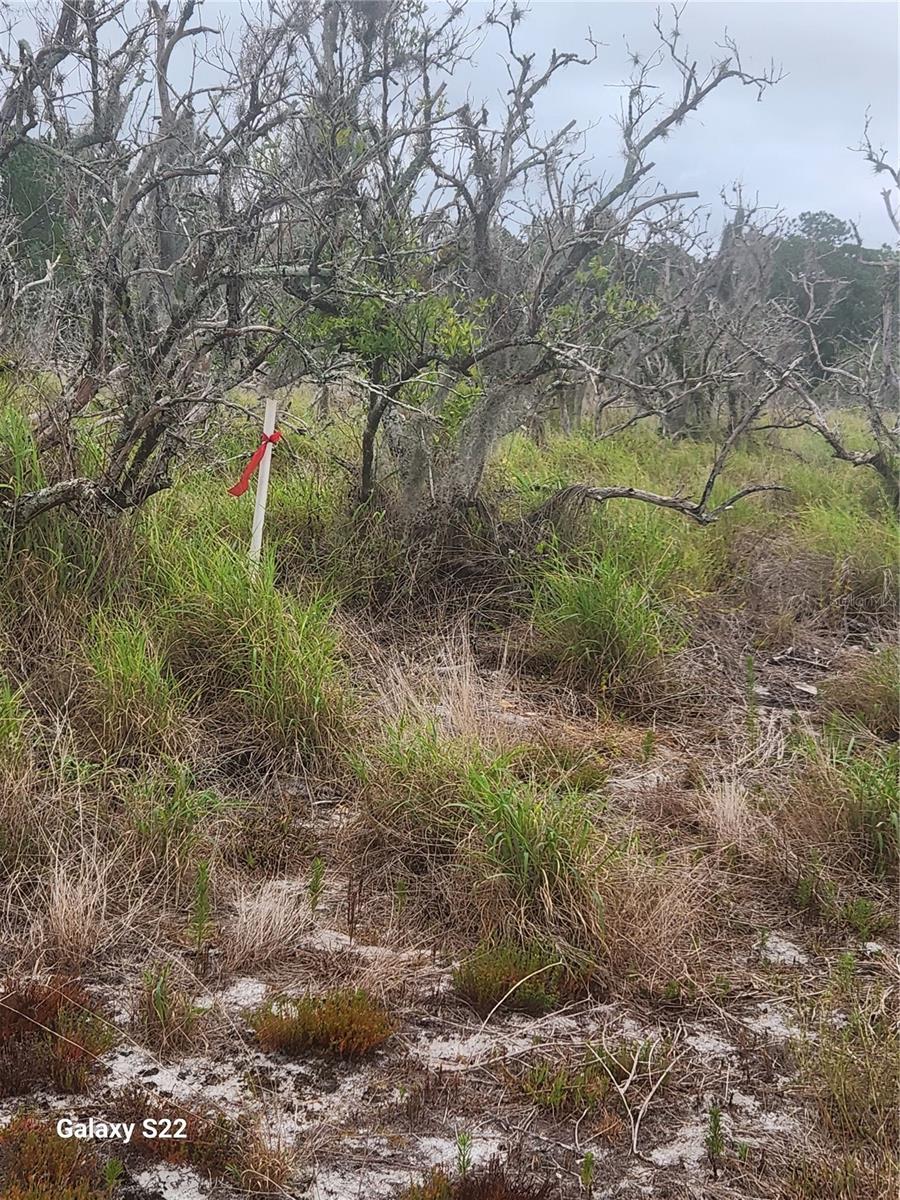 Image 9 of 9 For Frostproof Road Lot 13