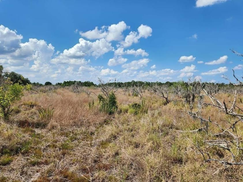 Image 10 of 10 For Frostproof Road Lot 17