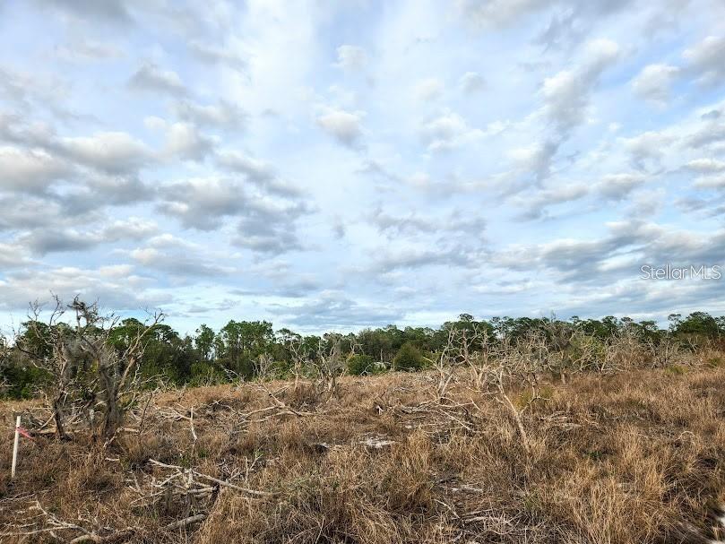 Image 4 of 10 For Frostproof Road Lot 17