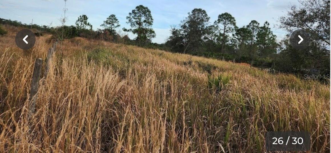 Image 6 of 10 For Frostproof Road Lot 17