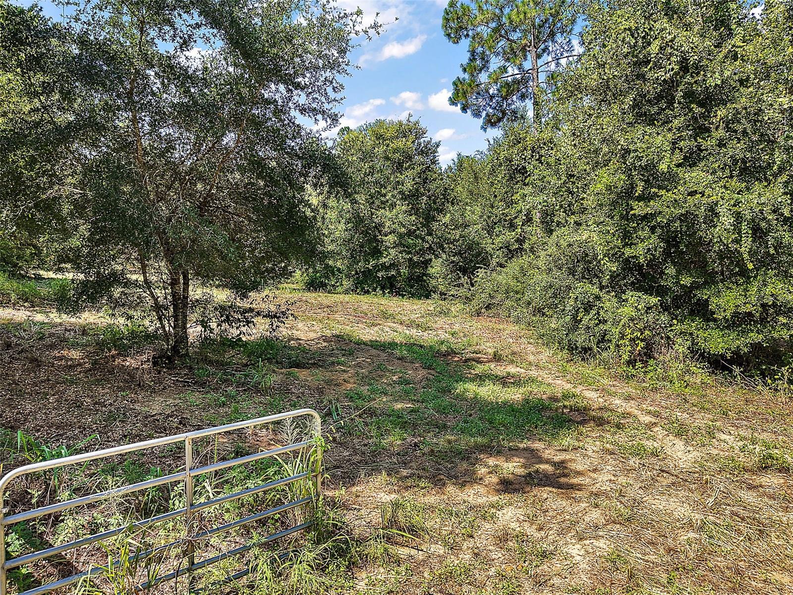 Image 49 of 53 For 21097 County Road 455