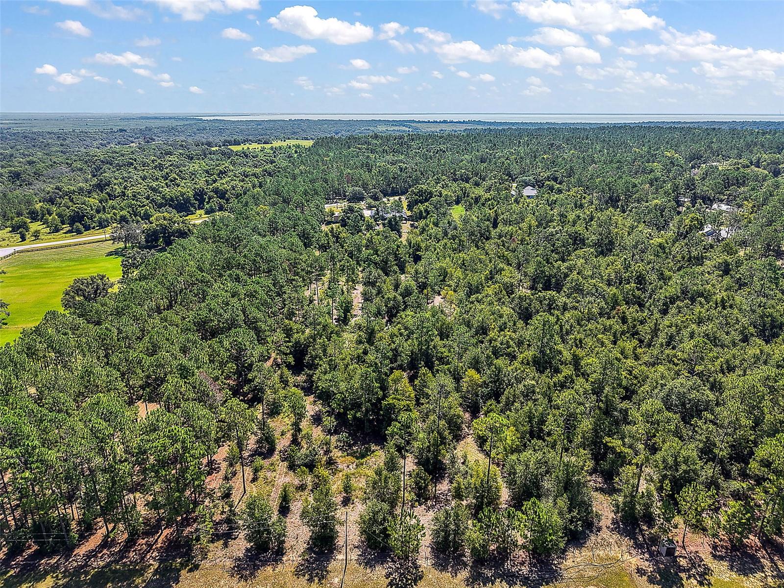 Image 53 of 53 For 21097 County Road 455