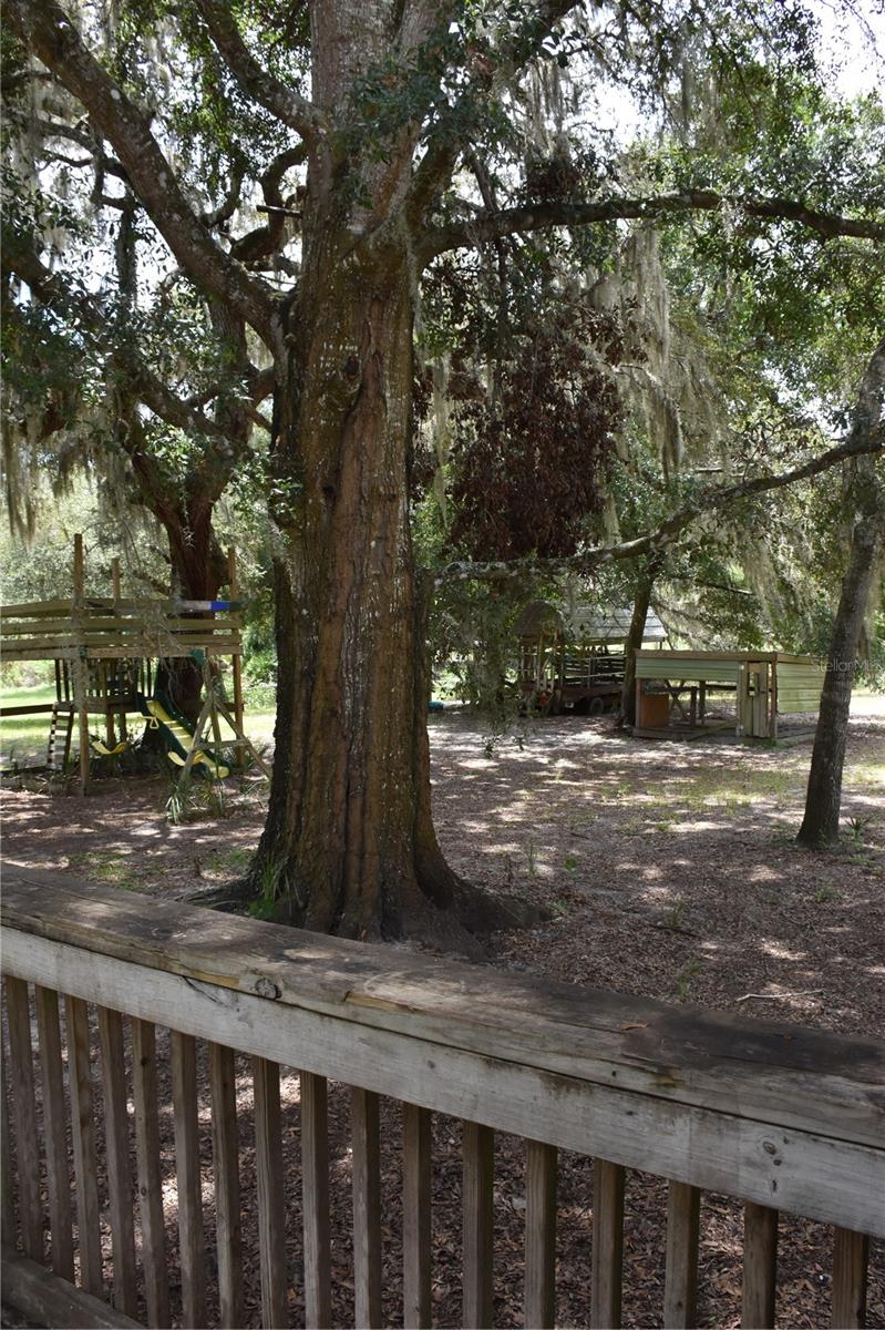 Image 30 of 46 For 22524 Orange Blossom Lane