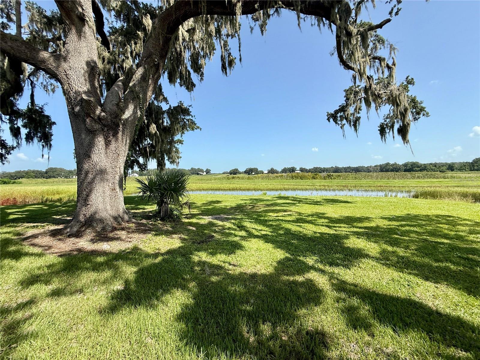 Image 21 of 38 For 12030 Lakeshore Way